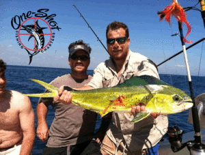 6 Hr Nearshore Fishing Trip – One Shot Charters